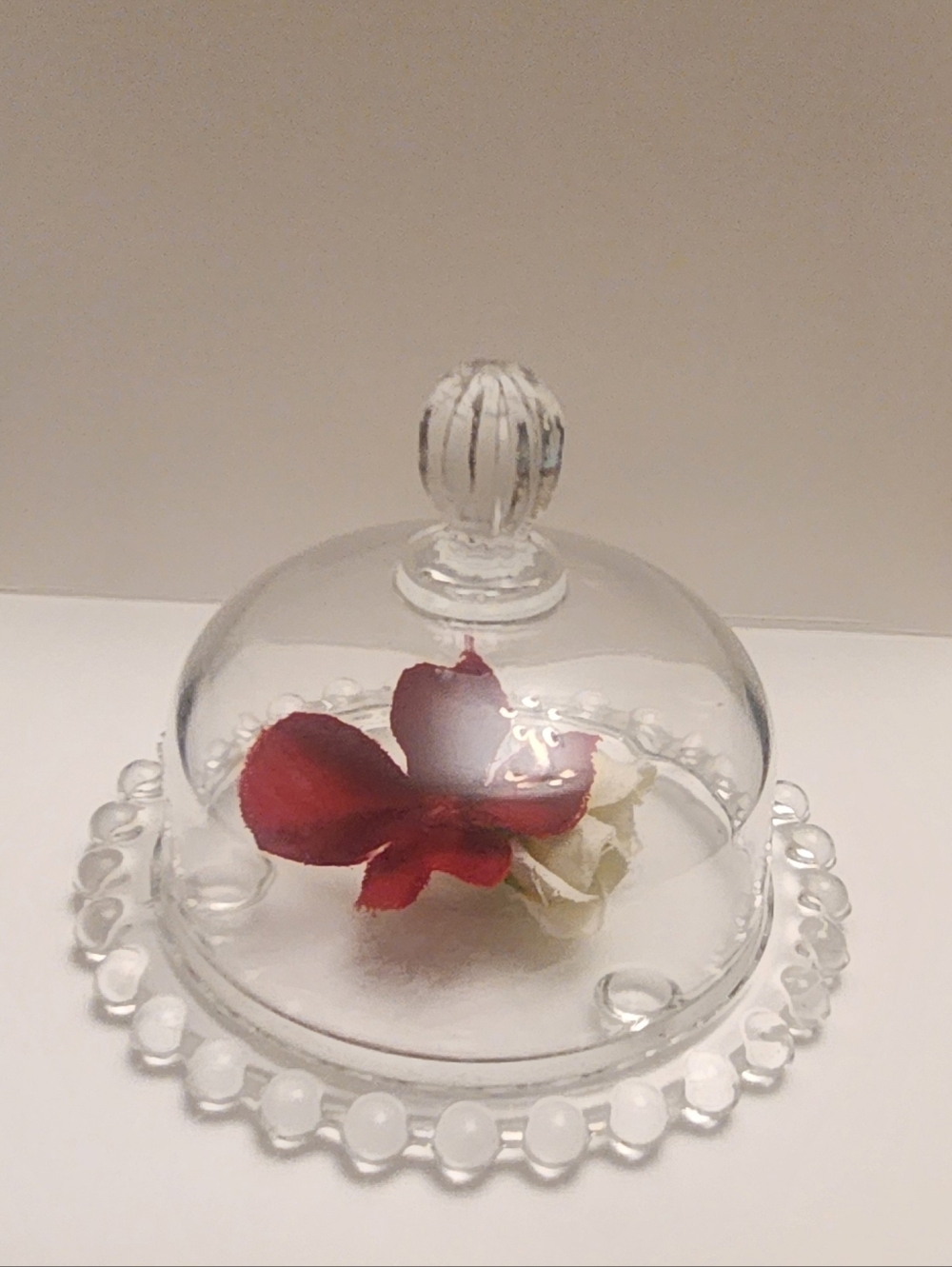 Miniature Glass Cloche